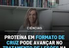 Pesquisa da UFRJ investiga proteína para regeneração neural