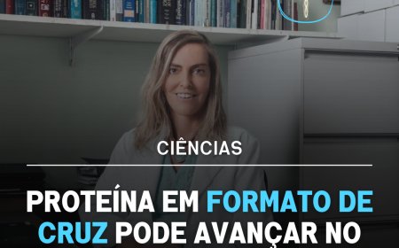 Pesquisa da UFRJ investiga proteína para regeneração neural