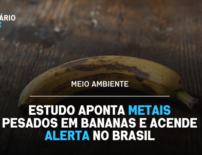 Estudo aponta presença localizada de metais no solo em áreas afetadas por mineração