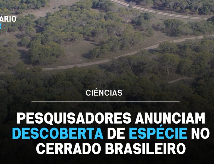 Estudo ambiental identifica nova espécie de anfíbio em área de preservação