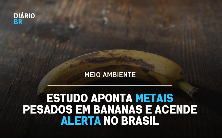 Estudo aponta presença localizada de metais no solo em áreas afetadas por mineração
